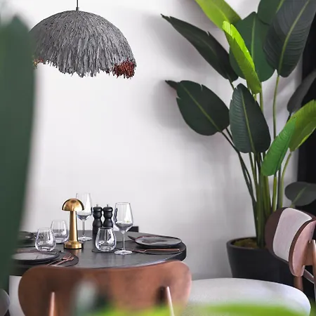 Luff Living - Adult Only 12