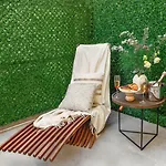 Luff Living - Adult Only 12 3*